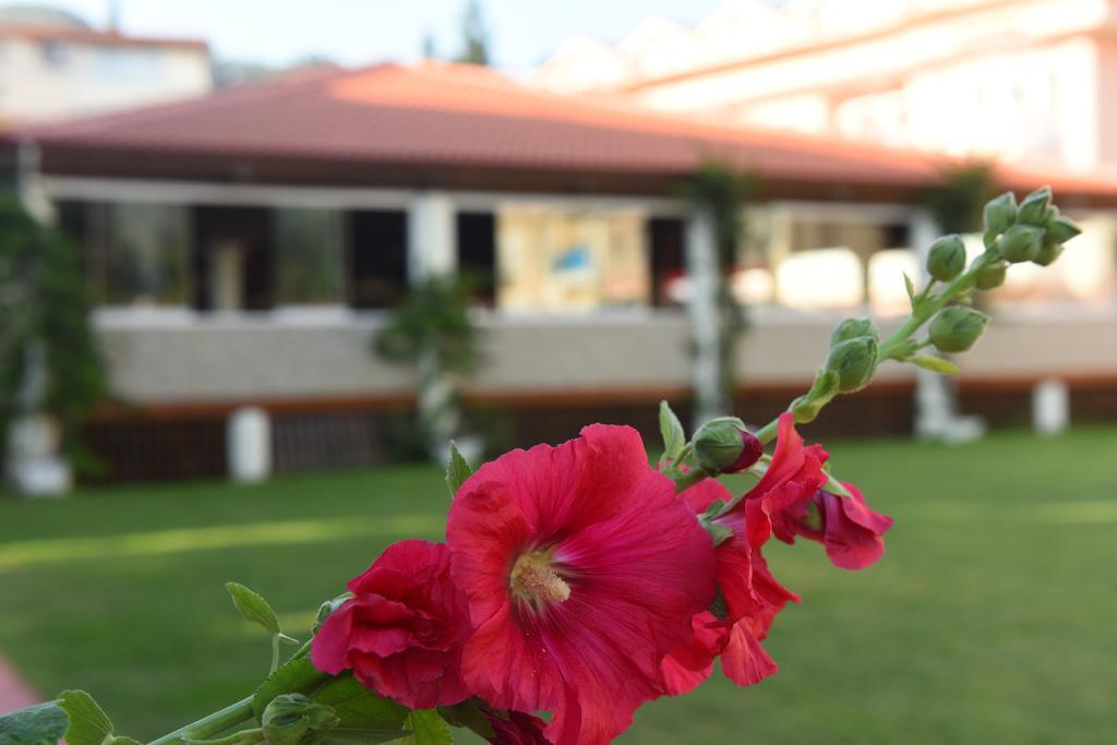 Oludeniz Turquoise Hotel Eksteriør bilde